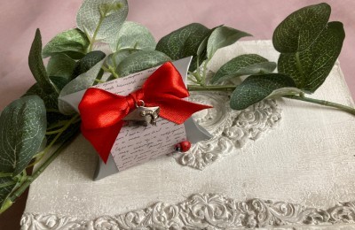 Tocco e coccinella